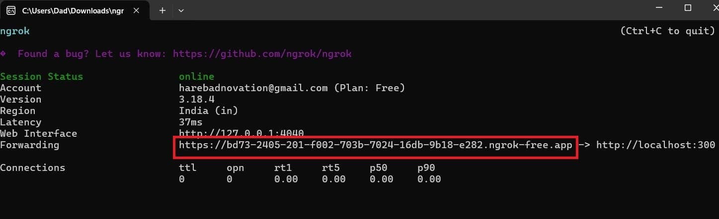 ngrok screenshot